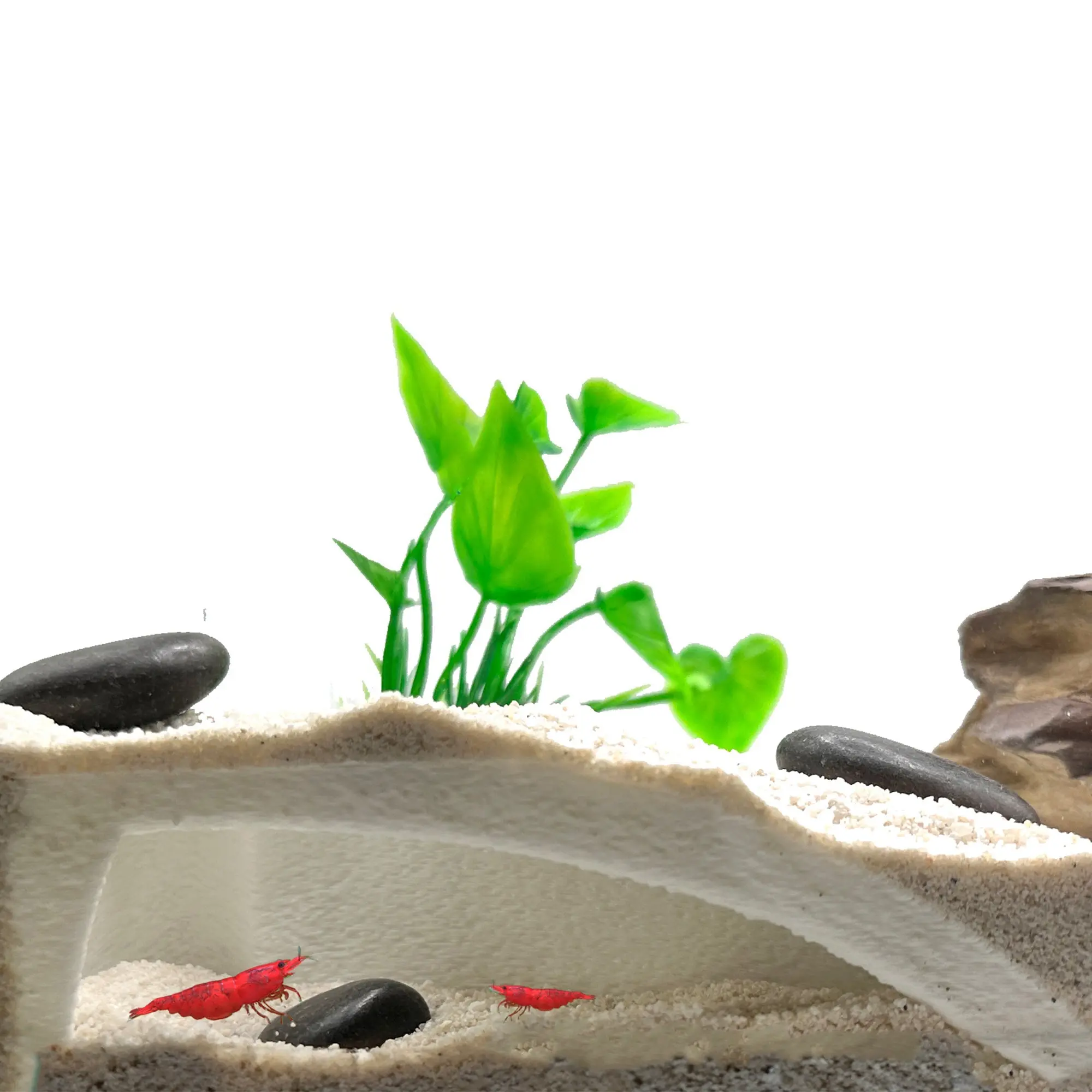 Organic Aquarium Tunnel Cave | Shrimp hide