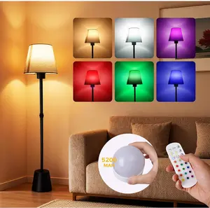 Battery Operated Floor Lamp, Cordless Floor lamp with 5200mAh Battery,RGB Floor Lamps, Timer Function Suitable for Living Room Sofa Area Bedroom RV and Balcony