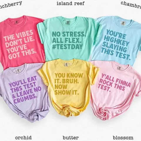 Custom Test Day Shirt, Matching State Testing Shirts, Teacher Team T-Shirts, Comfort Colors, Gen Z School Testing Day Tee, Testing Coordinator Shirt