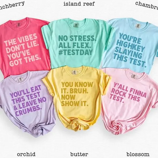 Custom Test Day Shirt, Matching State Testing Shirts, Teacher Team T-Shirts, Comfort Colors, Gen Z School Testing Day Tee, Testing Coordinator Shirt