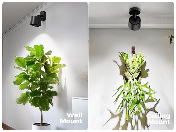 Barrina TR40a Track Plant Lights for Indoor Growing, 40W Ceiling Grow Lights with Adjustable Beam Angle (15°-60°), 5000K Full Spectrum Wall Plant Light with Timer for Greenhouse, Black Cover