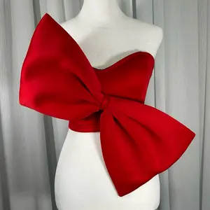 Asymmetrical Bow Cropped Tube Top - Blusa Corta Con Lazo Asimétrico
