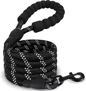 INVIROX Dog Leash - 5ft