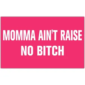 Momma Ain't Raise No Bitch Flag Pink Tapestry Funny Flags for Room Teen Girls Bedroom College Dorm Meme Flags Man Cave Wall Art Decorations Banner Gifts