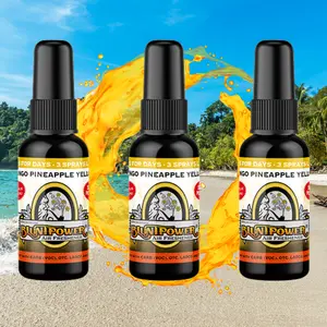 Mango Pineapple Yellow Air Freshener Bundle (3 Pack)