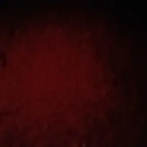 review image 11