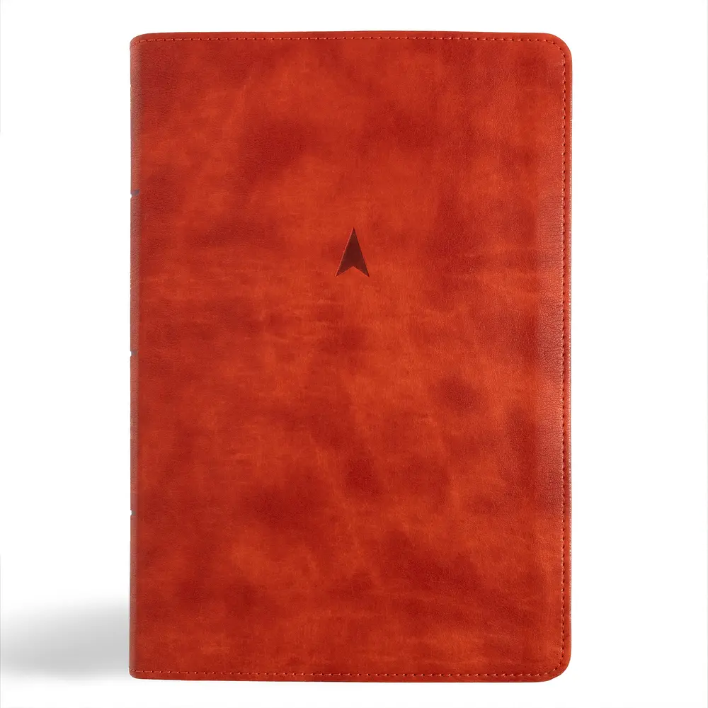 USED-CSB Church Bible, Anglicised Edition, British Tan Leathertouch by Csb Bibles by Holman (Imitation Leather)