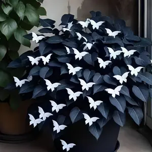700Pcs Hosta Seeds – Garden Makeover Starter Pack with Lasting Impact