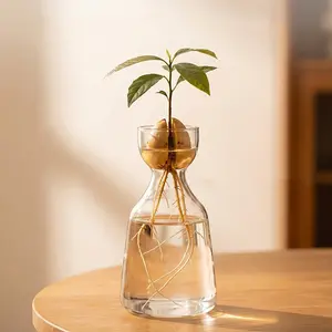 Avocado Vase, Clear Glass Hydroponic Plant Container, Rustic Style, Ideal for Plant Lovers, Home Decor, Gardening Beginners, Desktop Greenery, Indoor Decoration