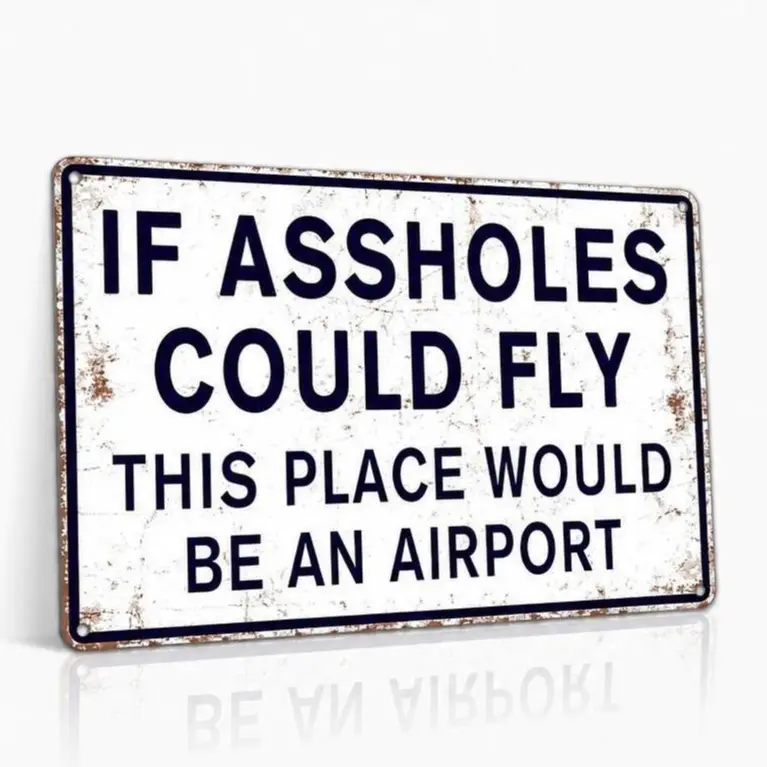 8x12In Tin Funny Signage, Home Supplies Plaque, Cool Decor, Indoor Home Decoration, Man Cave Garage Wall Art, Funny Gift for Men, "If A**holes Could Fly This Place Would Be An Airport", Decorative Plaque