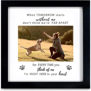 Kcrasan Memorial Picture Frame for Pet Loss Gift - Remembrance Frame for Dog or Cat with Sympathy Tribute Keepsake(9X9 Frame) KCRasan