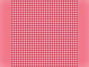 Picnic Florals - Gingham Red by My Mind's Eye for Riley Blake