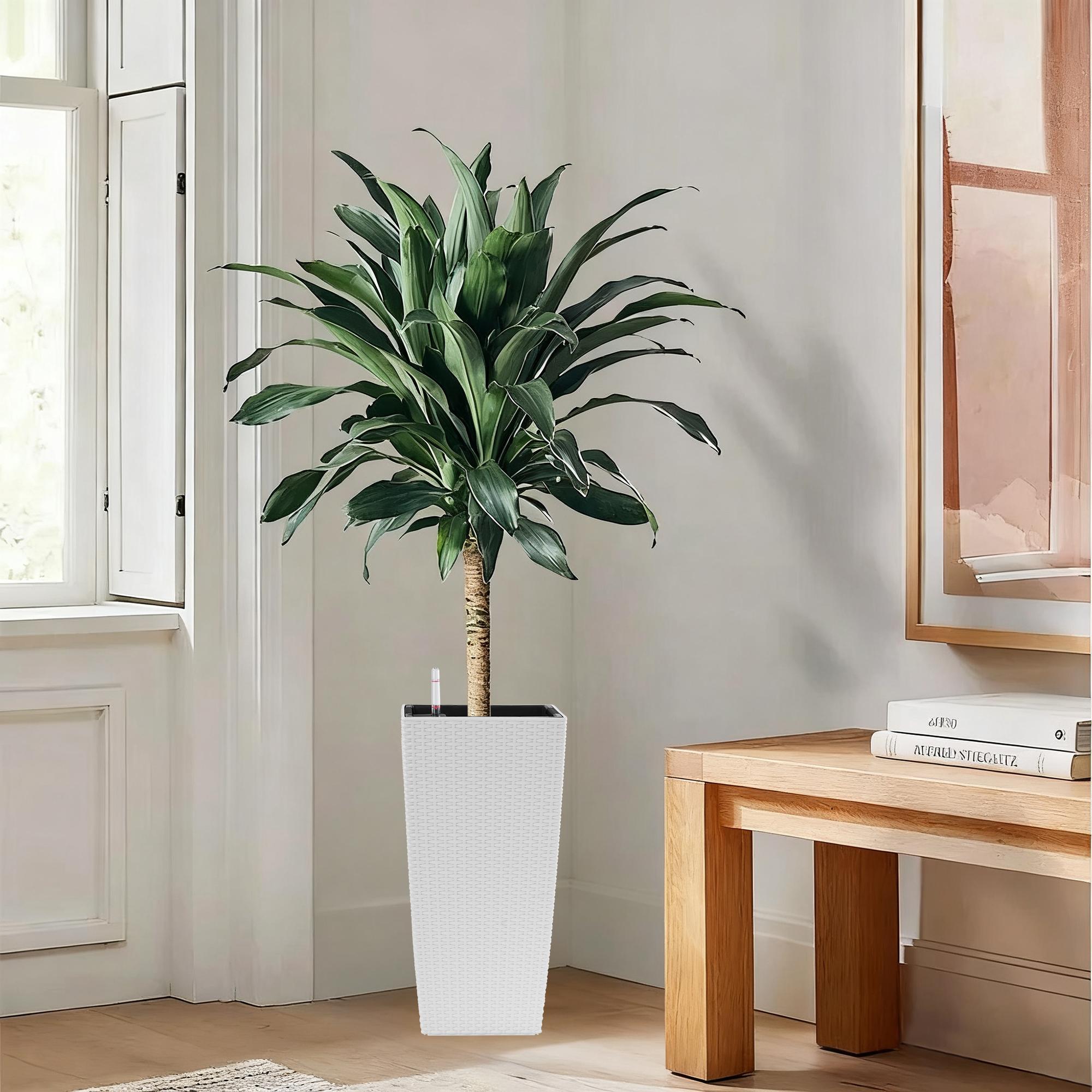 22 Inch High Pack of 2 Large Square Faux Rattan Planters, Self-Watering Flower Pots with Automatic Watering System & Drainage, Modern White Decorative Planter for Indoor Outdoor Use, Perfect for Porch, Patio, Backyard, Garden