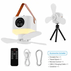 Cordless Multi-Function LED Ceiling Ornament Light with Remote Control - No-Drill Damage-Free Wall/Desk Mount, Renter-Friendly, Portable Battery Lamp for Emergency Outages, Bedroom Decor (Home Supplies, Party Gift)