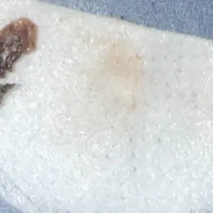 Pet Eye Care Wipes, 200pcs/set Pet Eye Cleaning Wipes, Gentle Pet Eye Cleaning Pads, Eye Care Product for Dogs & Cats, Grooming Products, Dog & Cat Grooming Supplies