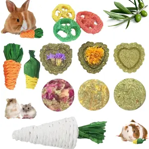 Rabbit Bunny Guinea Pig Chew Toys 12PCS, Chew Toys and Treats for Rabbit Guinea Pig Hamster Chinchilla, Small Animal Teeth Care Natural Timothy Hay Rabbit Chews