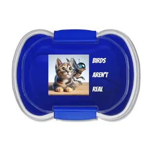 Whimsical Cat and Bird Bento Box, Cute Lunch Container for Pet Lovers, School Lunchbox, Fun Meal Prep Box, Eco-Friendly Snack Container