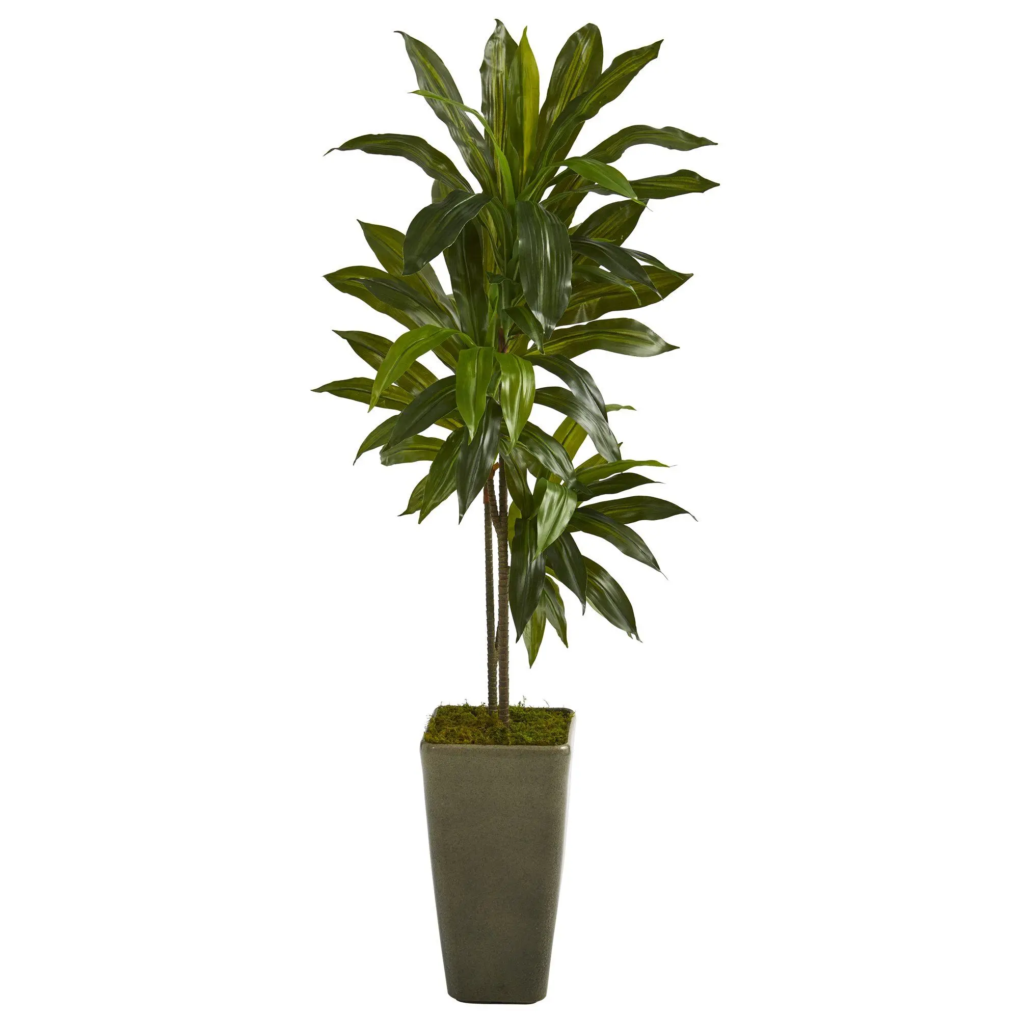 4.5ft High Artificial Dracaena Tree, Real-Touch Fake Greenery, Tropical Decorative Plant with Green Planter, Botanical Aesthetic Home Decor, Artificial Tree