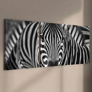 Wooden Framed Canvas Painting, 3 Counts Artistic Modern Zebra Pattern Wall Art Decoration, Hanging Wall Decor for Home Living Room Bedroom Office