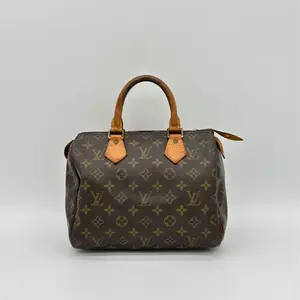 Pre-owned Louis Vuitton h3 Speedy 25 presbyopia handbag 61993