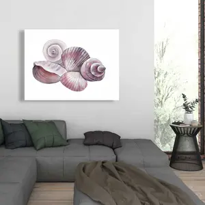 Begin Home Decor C1RC3648I3CJWK 36 x 48 in. Seaside Shells - Coastal Canvas Art for Living Room Decor