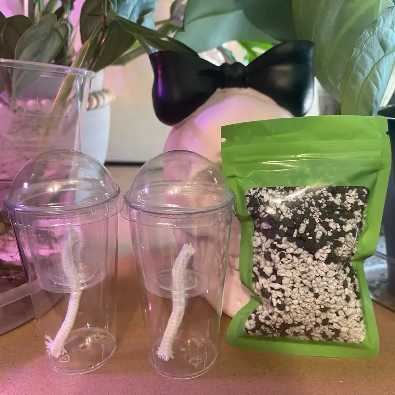 Corm cups with potting medium