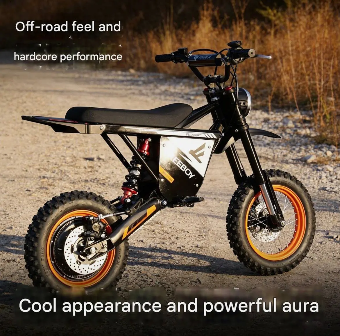 Reboy Off-Road Electric Motorcycle with Hardcore Performance and Cool Appearance for Adventure Enthusiasts