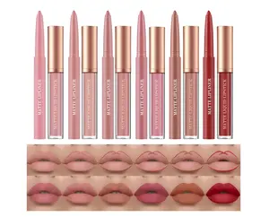 Land 12Pcs Matte Liquid Lipstick + Lip Liner Pens Set, One Step Lips Makeup Kits Pigment Velvety Nude Lip Stain Waterproof Long Wear Lip Gloss Make up Gift Set (Set A)