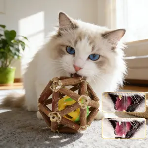 3Pcs Catnip Toys- Natural Silvervine Stick Catnip Ball&Bell Ball-Cat Toys for Indoor Cats- Cleaning Teeth Molar Tools Cat Chew Toy-Kitten Toys All Breeds