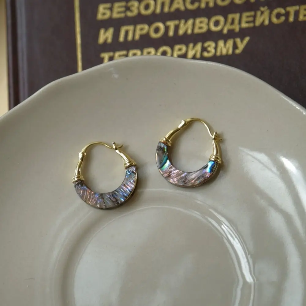 Natural Colorful Abalone Shell Earrings Niche Personality Design Minimalist Style Earrings Retro Fashion High-end Sense Earrings for Women