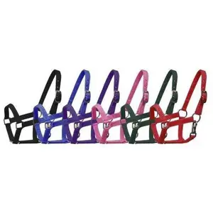 Nylon halter with nickel plated hardware and throat latch. Mini size.