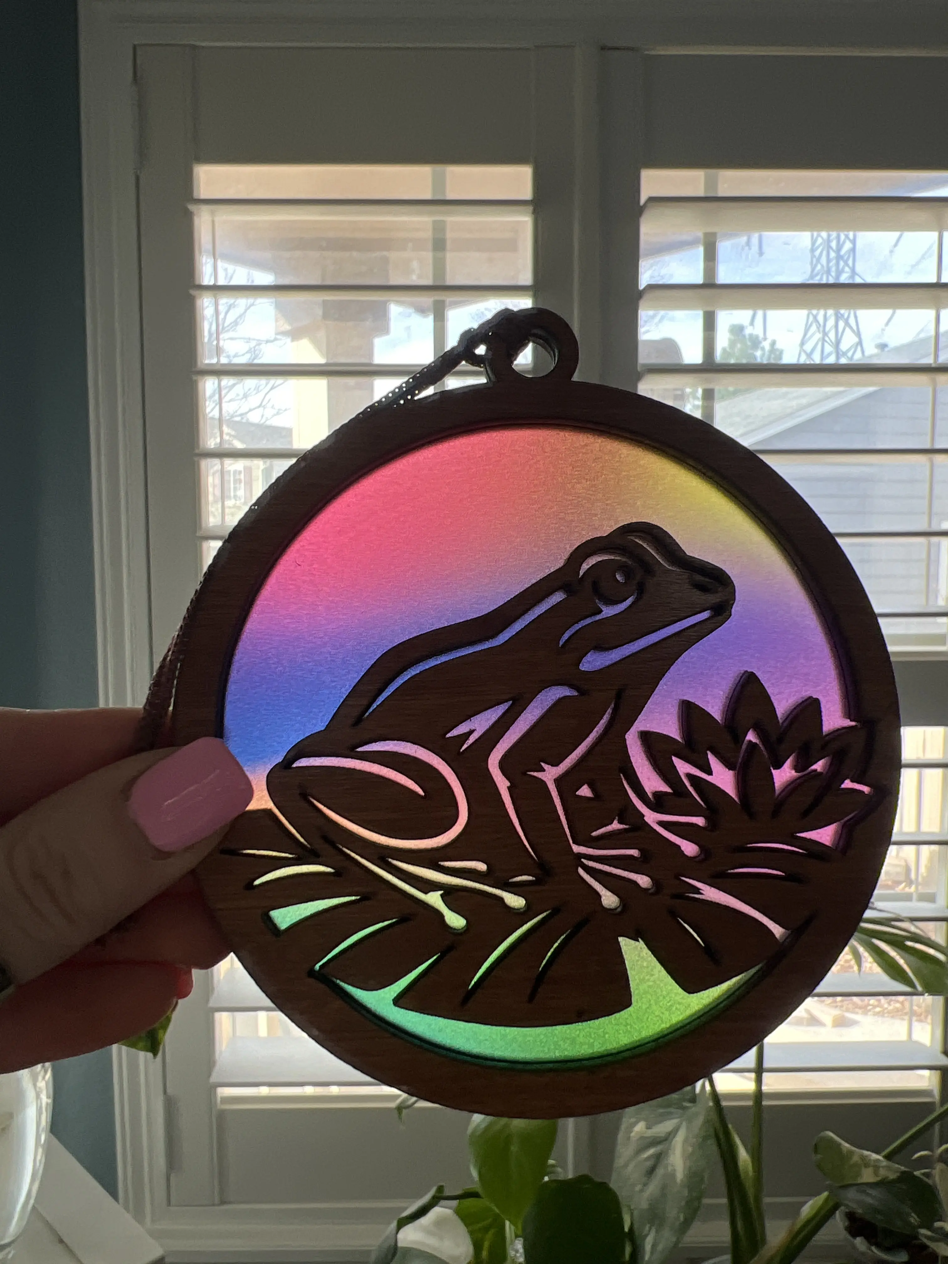 Frog Suncatcher for Sunny Window