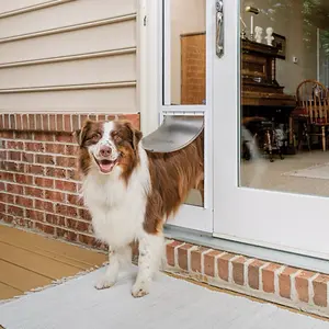 PetSafe Sliding Glass Pet Door Large - Quick Installation - Model PPA11-14768 - Fits 1 LB & 100 LB Pet Weight - Fits 76" to 81" Doors
