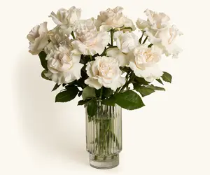 The Condolence Send – Roses
