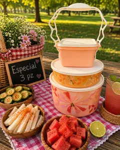 Porta vianda con tazones ilumina 6.6 y 2.5 litros Set