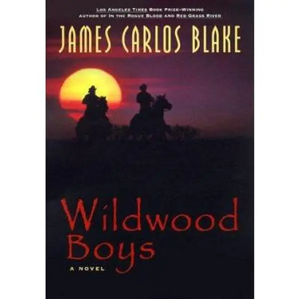 USED-Wildwood Boys: A Novel by James Carlos Blake (Hardcover)
