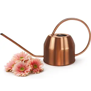 Rose Gold or Green Metal Watering Can Indoor Plants 40 or 54 oz, Stainless Steel Long Spout Watering Can Outdoor House Plant Flower, Garden