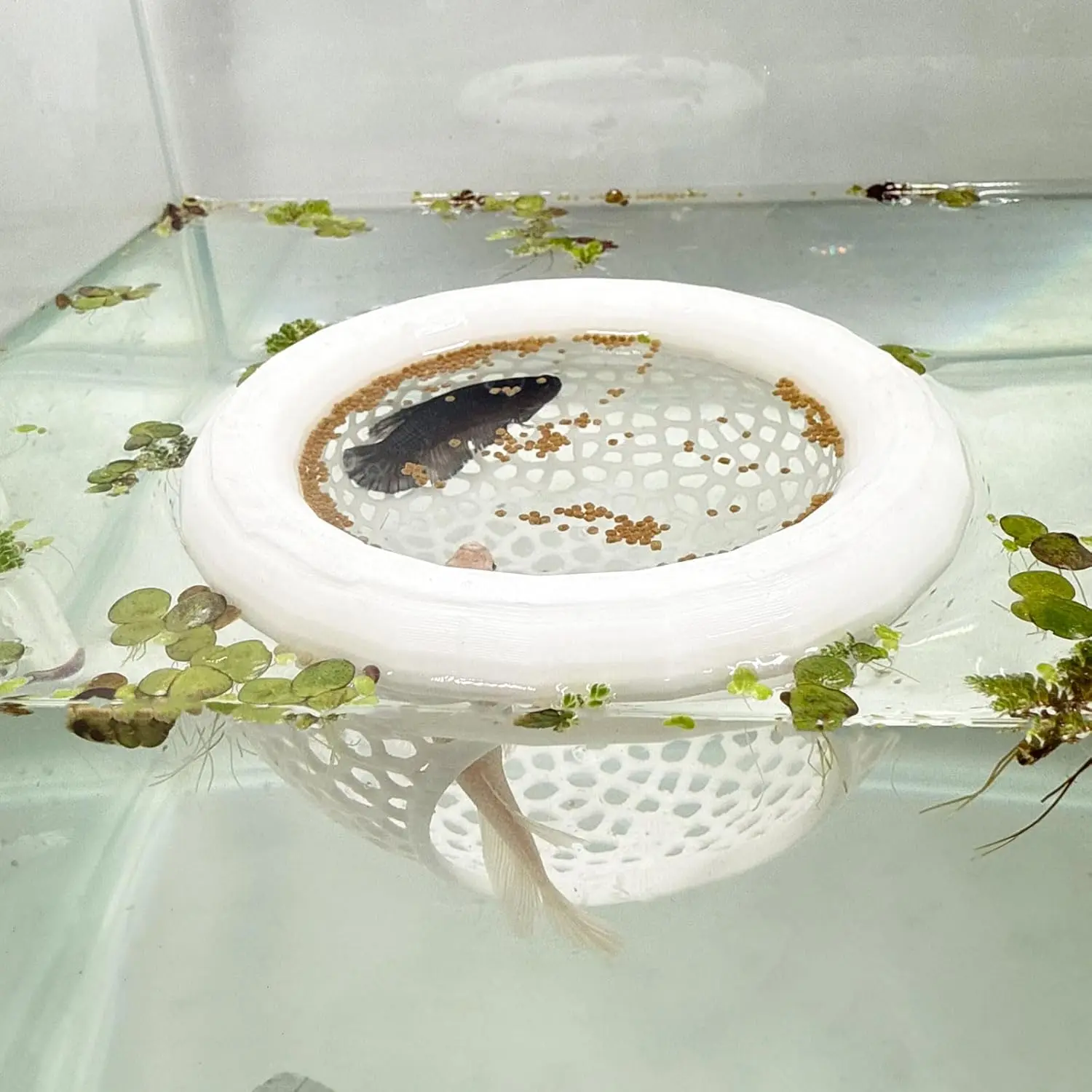 Aquarium Floating Betta Fish , Betta or Shrimp Feeder, Cave and Hammock, Small Fish Feeding Rings, Aquarium Hiding Feeding Decorative Accessories (White)