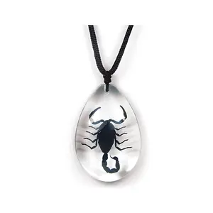 Clear Pendant Necklace with Real Black Scorpion Clear Pendant Necklace with Real Black Scorpion
