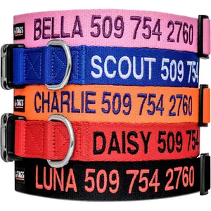 Personalized dog collar, customizable with embroidered pet name and phone number, available in blue, black, pink, red, and orange, suitable for male and female dogs or cats, adjustable size, available in small, medium, and large sizes