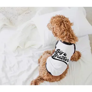 Varsity Style Big Brother Big Sister or Little Brother Little Sister Dog Raglan Shirt