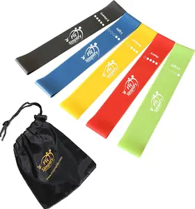 Fit Simplify Resistance Loop Exercise Bands with Instruction Guide and Carry Bag, Set of 5 Fit Simplify