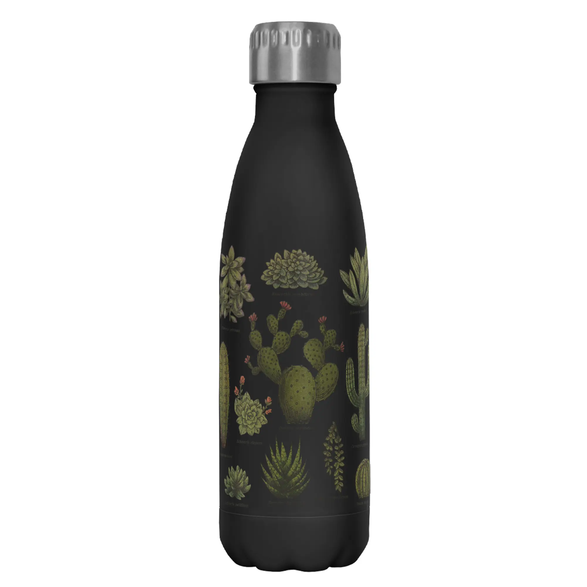 Lost Gods 17oz Stainless Steel Water Bottle - BPA-Free, Double-Wall Insulated, Cactus Printed, 10 Inches, Casual Travel-Ready Kitchenware Drinkware (None Leakage Design)