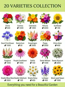 20 Variety Flower Seeds Collection Pack (22,050 Seeds) - Non-GMO Heirloom Wildflower Garden Mix, Easy to Grow, High Germination, 3-Season Blooms, Pollinator Friendly, Perfect for Cut Flowers, Cottage Gardens & Flower Borders