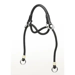 Bitless Noseband