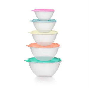 Tupperware Classic Wonderlier Bowls | 5-piece Set