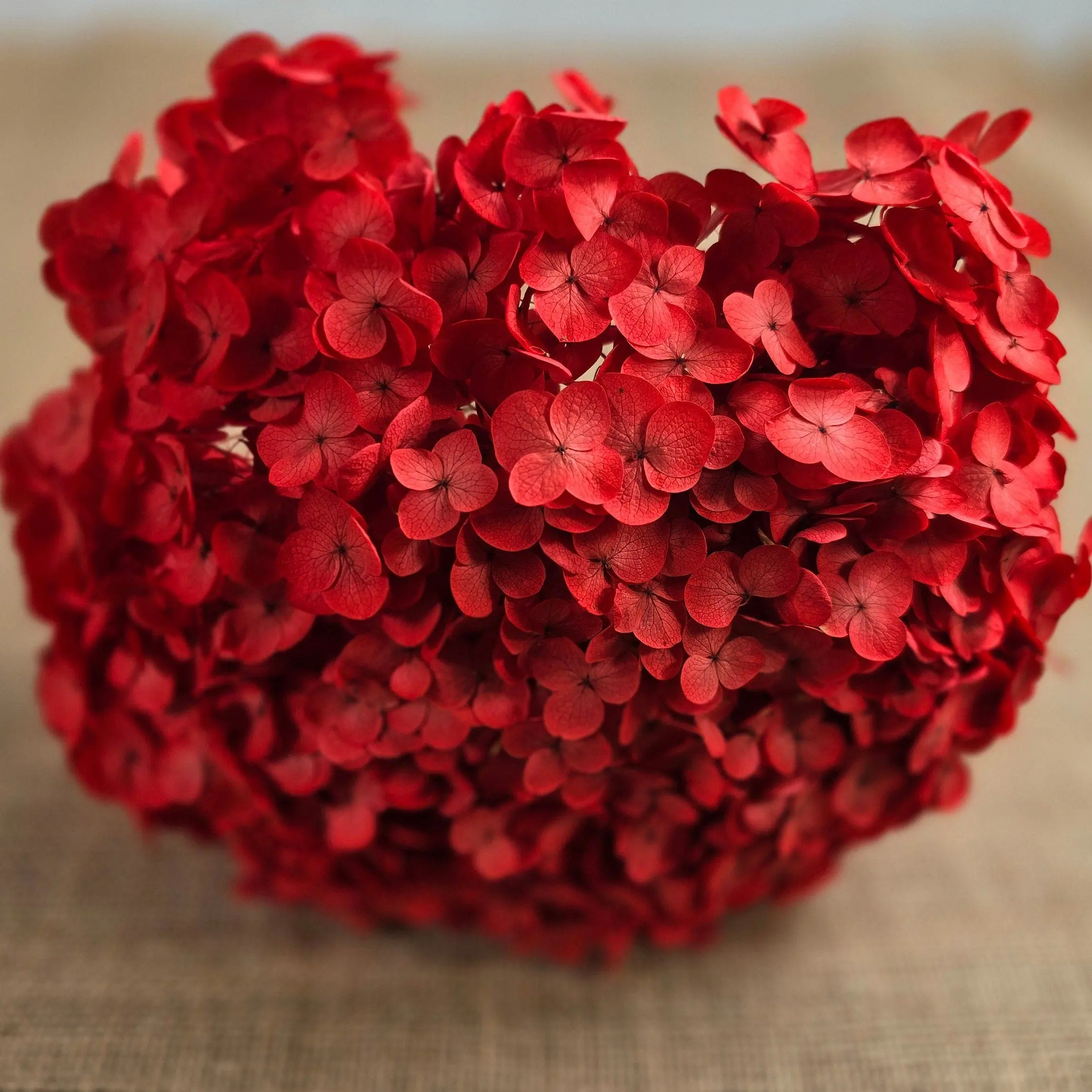 Preserved Hydrangea In Red, Preserved Hydrangea, Dried Hydrangea, Preserved Flowers, Dried Flowers, Real Flowers, Wedding Flowers