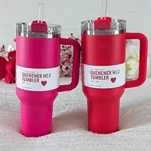Quencher H2O Tumbler - Pink and Red Tumbler Cup with Handle and Straw - Drinkware Flasks for Easy Sipping on the Go