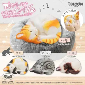 iBloom Squishy We Are The Cat Curled Up Cat Kawaii Soft Scented Slow Rising Stress Relief
