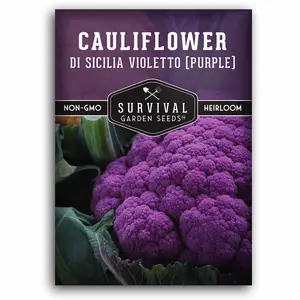 Di Sicilia Violetto Purple Cauliflower Seed